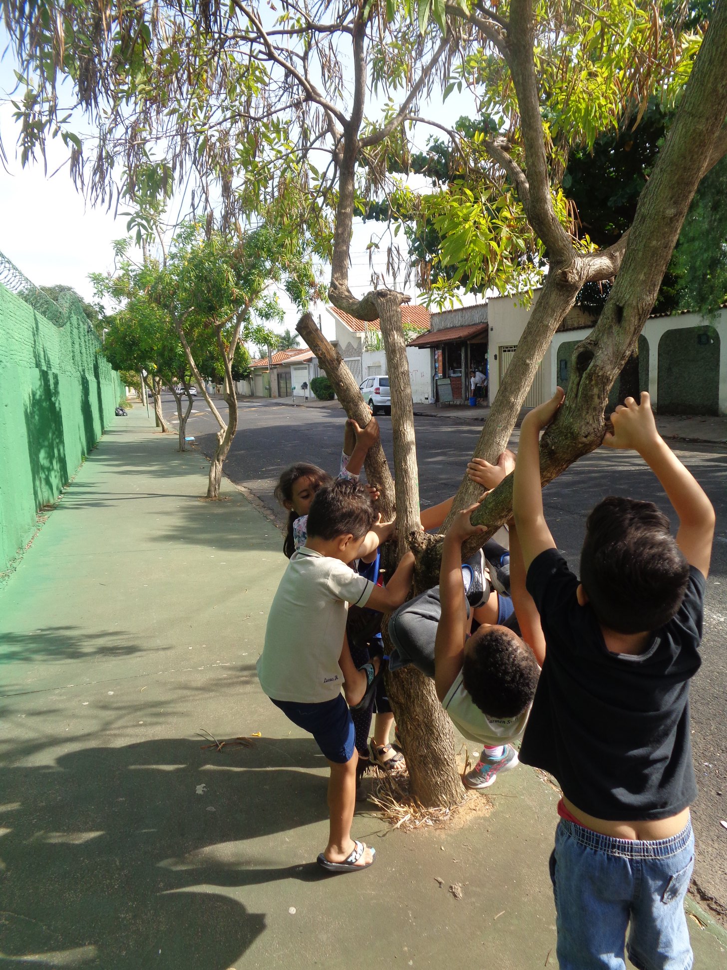 NO Dia da Árvore, em 2019, crianças da creche Ângelo Verzola brincam em frente ao prédio da entidade no Jardim Dermínio 